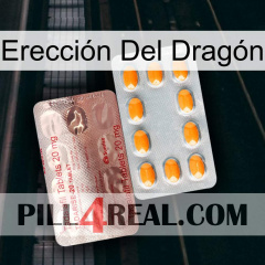 Erección Del Dragón new13